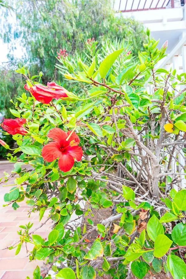 Vivienda Vacacional Sea Garden Costa Teguise Apartment